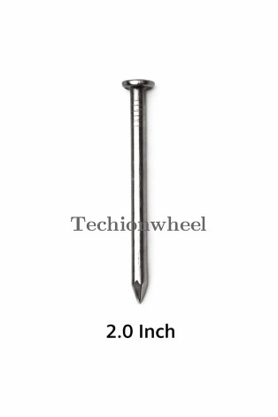 2.0 Inch MS Nail