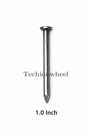 1.0 Inch MS Nail